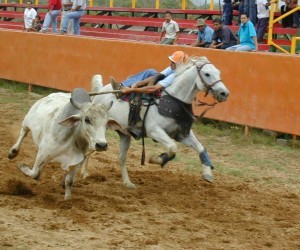 World Meeting of Coleo Source www arauca arauca gov co 